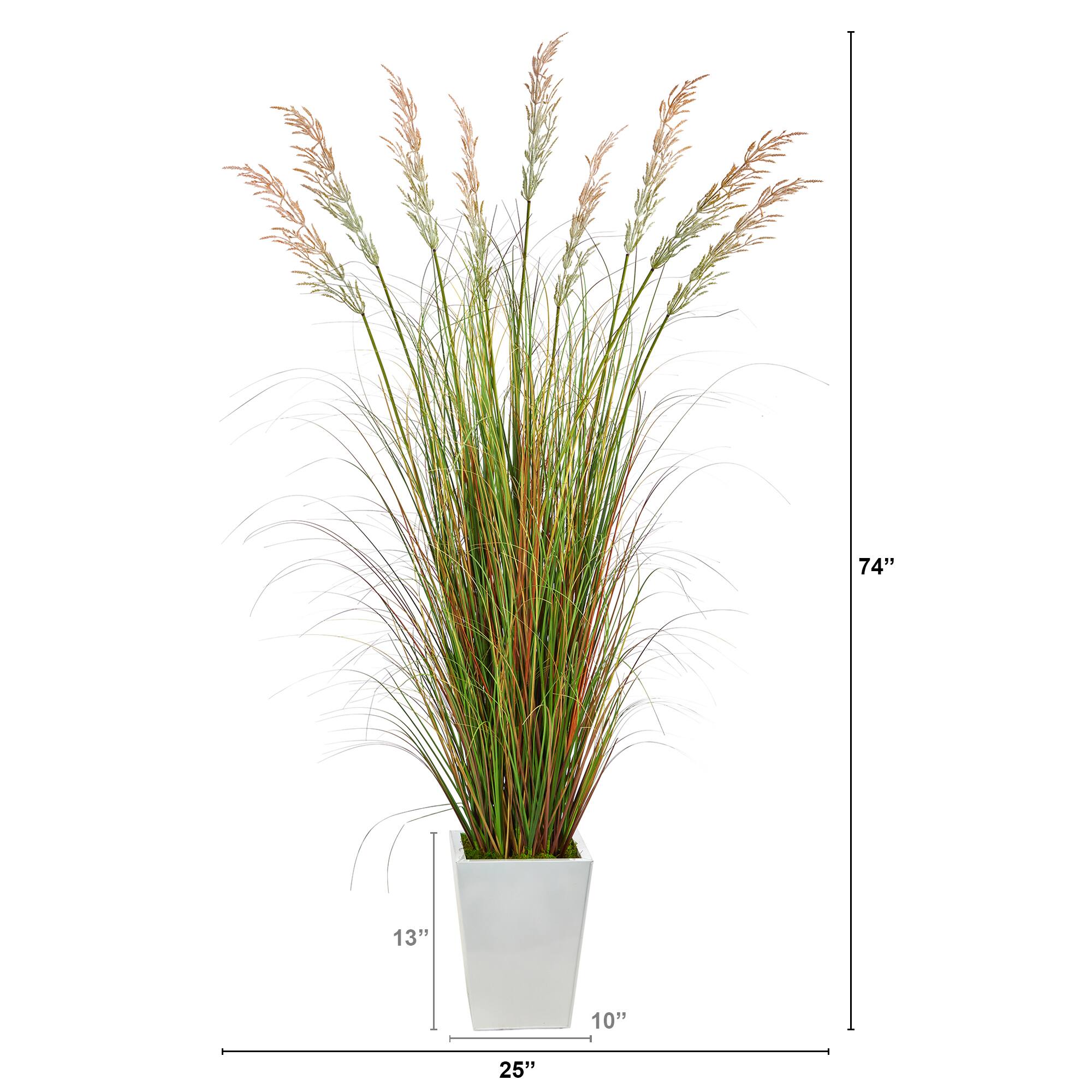 6ft. Grass Plant in White Metal Planter